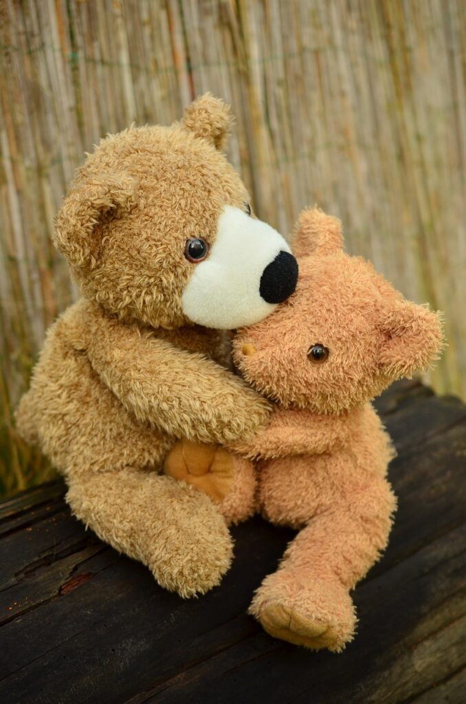 teddy, teddy bear, cuddle-1113120.jpg